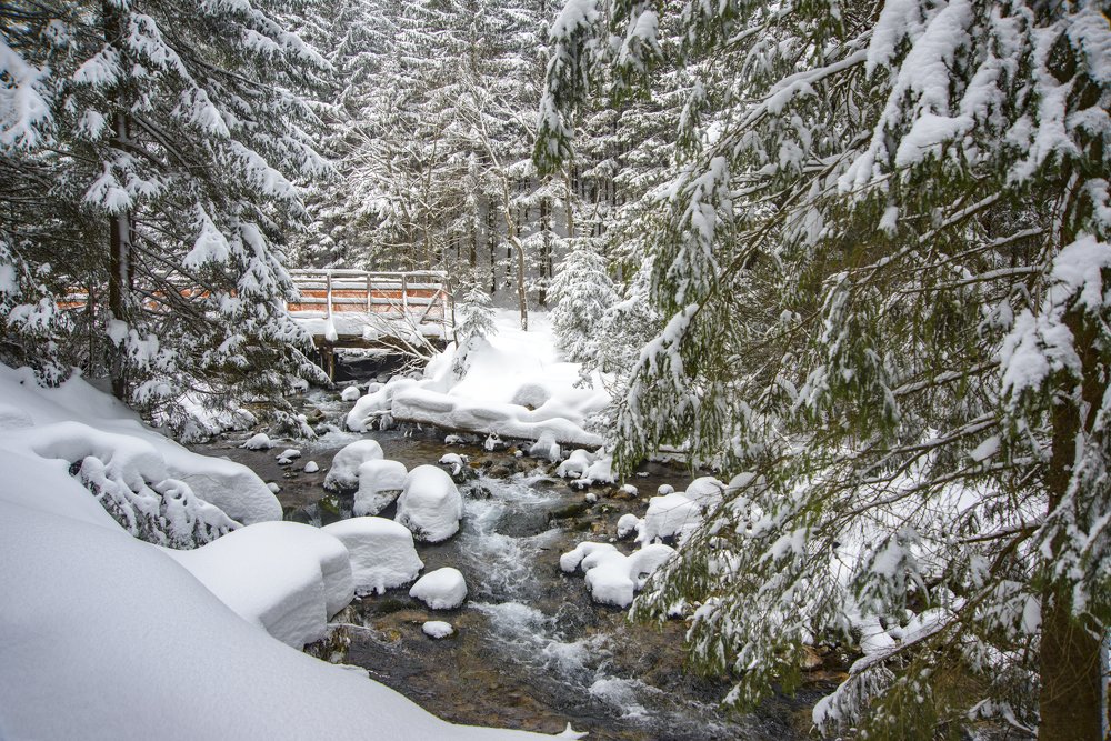 Зимний пейзаж