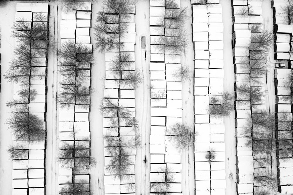 Фотография автора Денис Демков