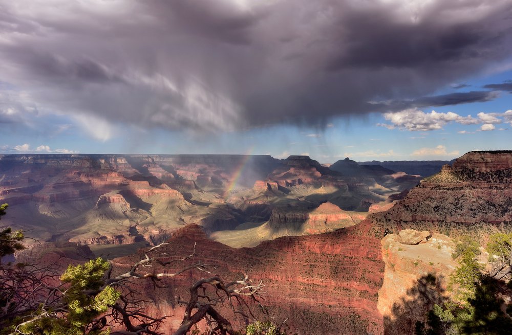 Photograph by antrisolja - Татьяна Татаренок