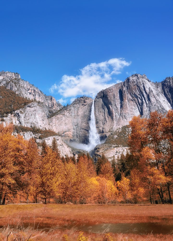 Photograph by antrisolja - Татьяна Татаренок