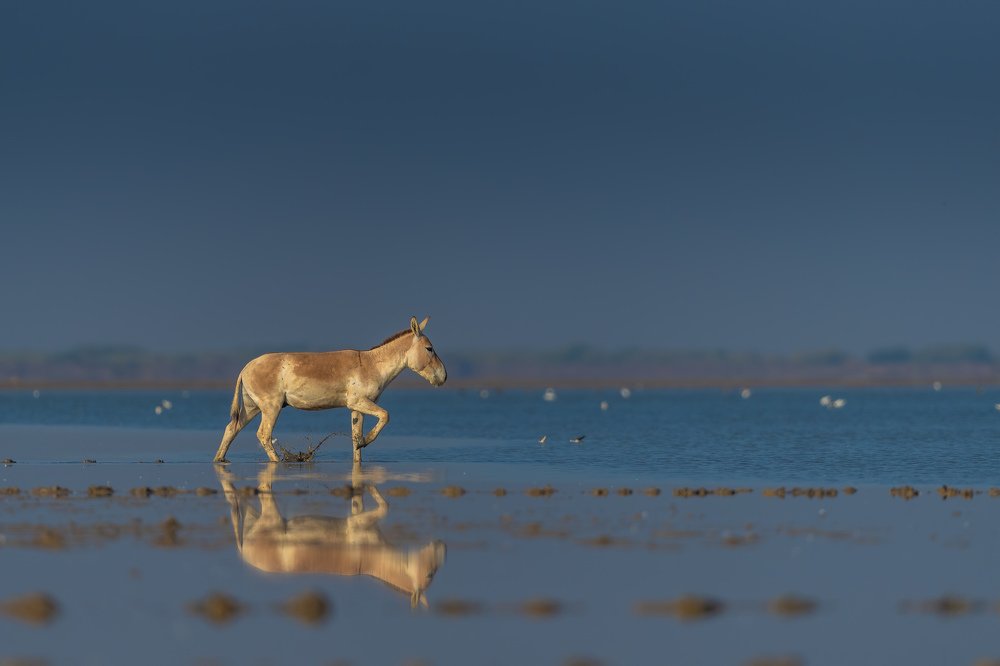 Photograph by Zhayynn James