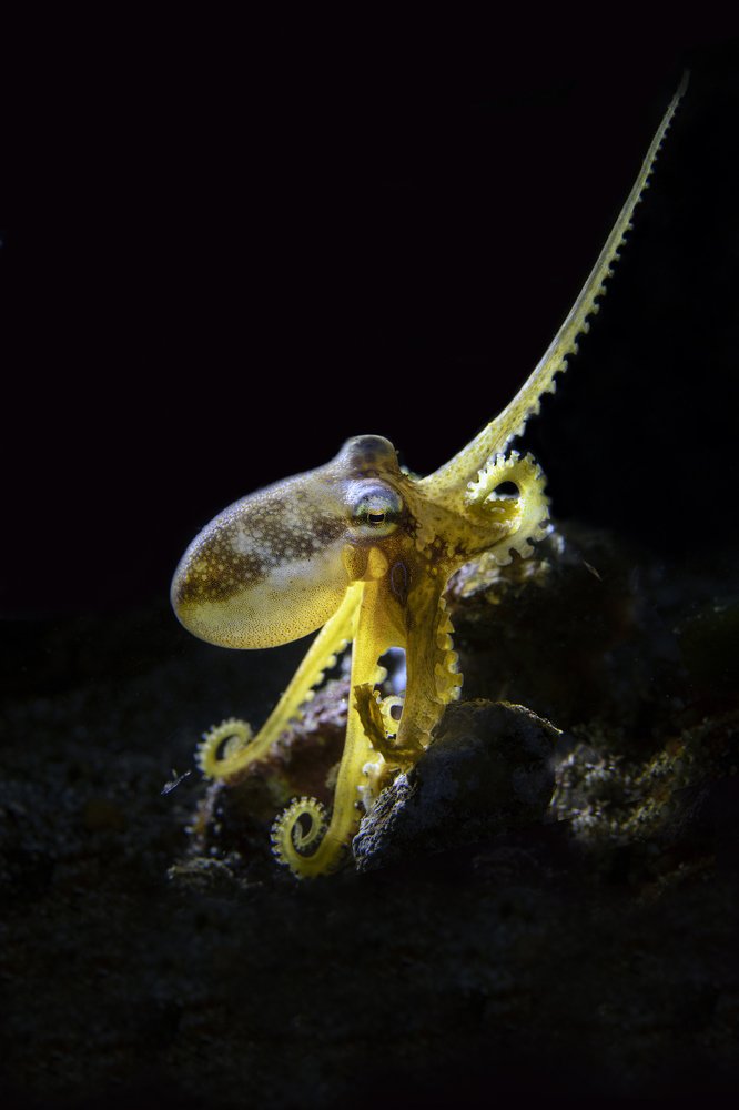 Photograph by Дериглазова Марина Владимировна