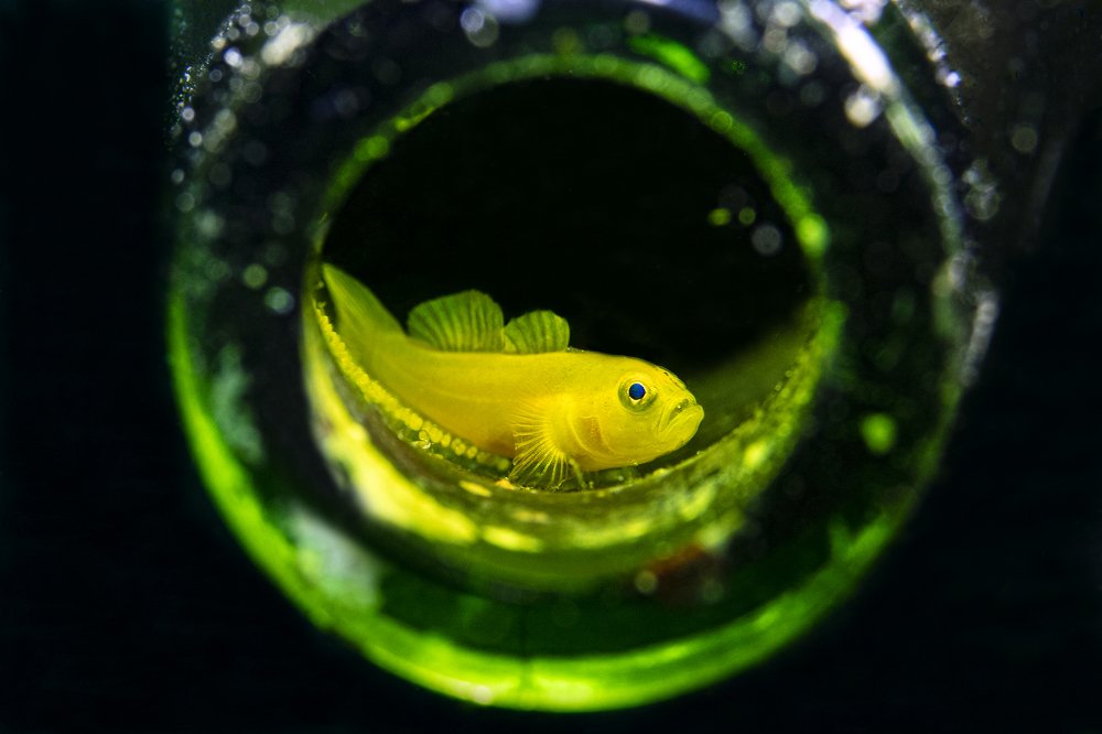 Photograph by Дериглазова Марина Владимировна