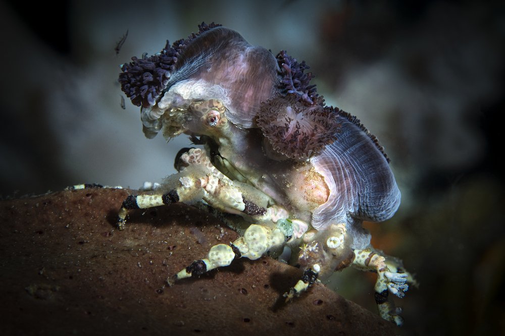 Photograph by Дериглазова Марина Владимировна