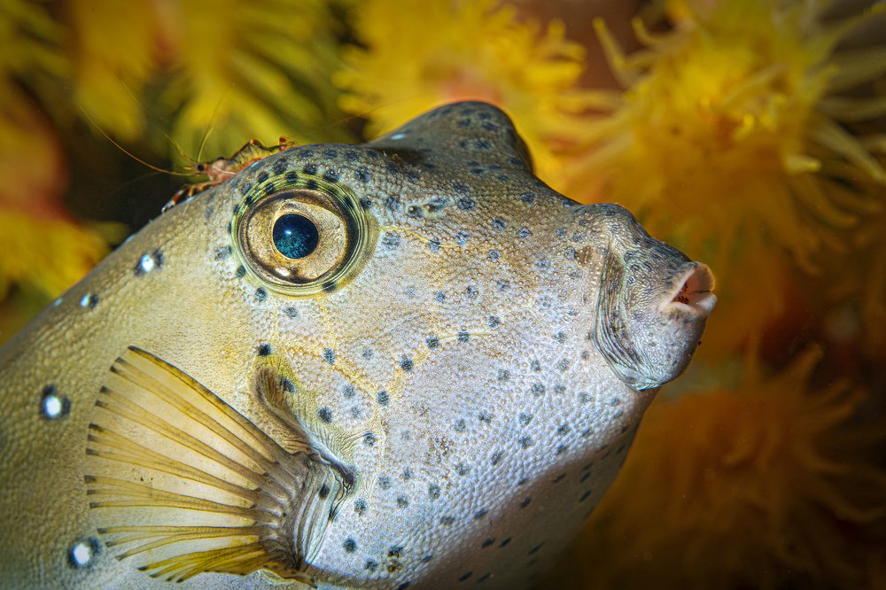 Photograph by Дериглазова Марина Владимировна