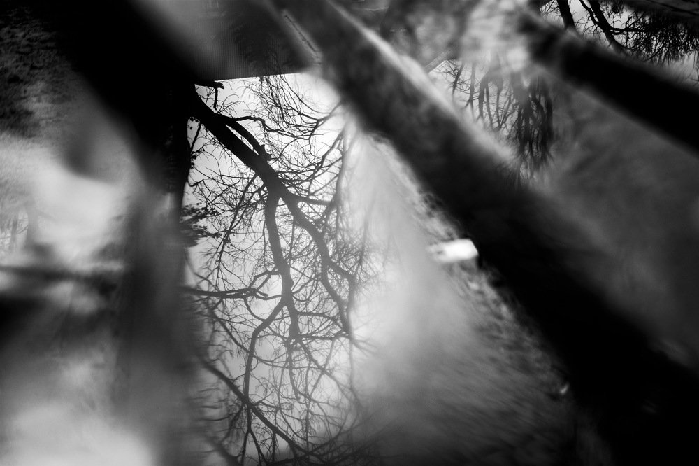 Photograph by Миленькая Наталья