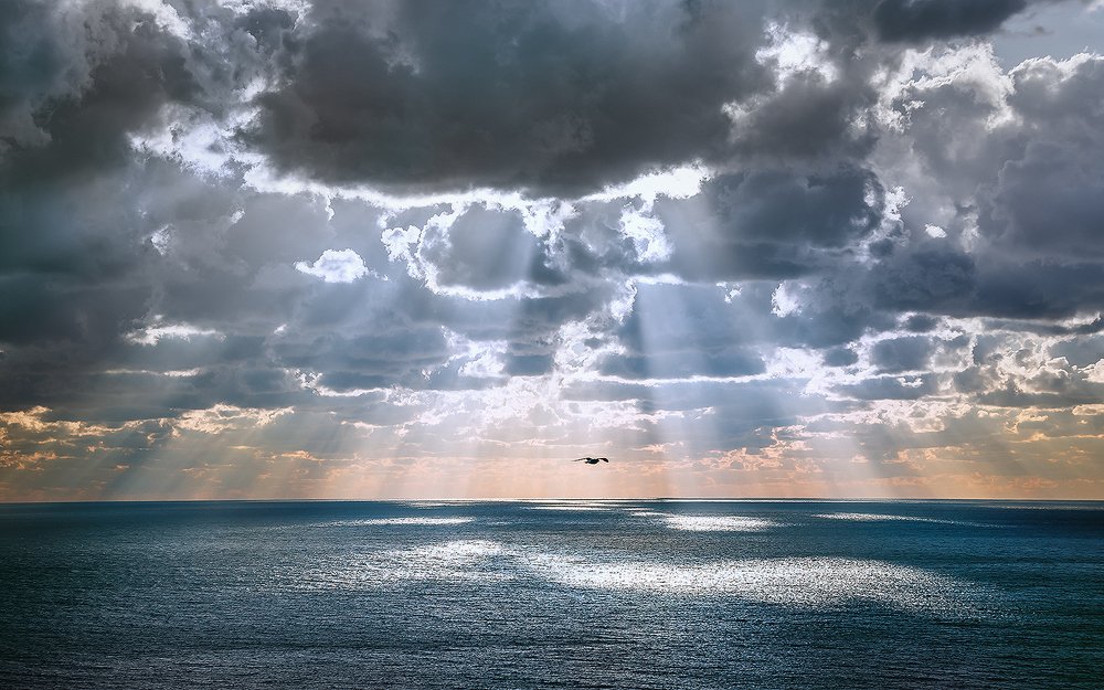 Крым. Черное море. Crimea. The black sea.