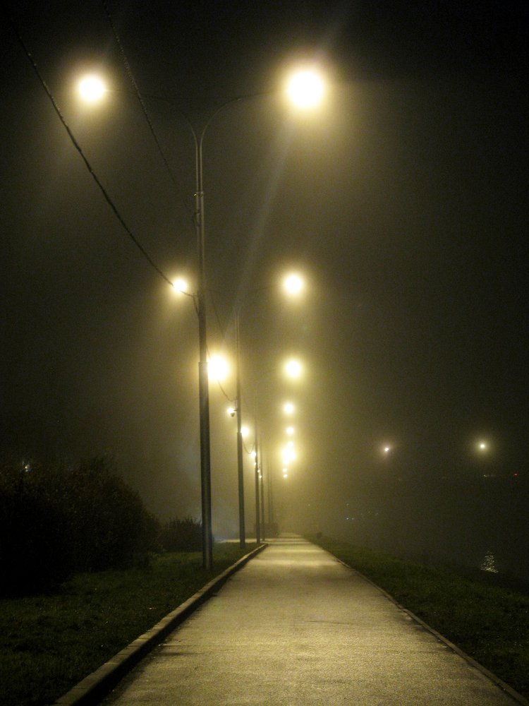 Photograph by Алиса Бабковская