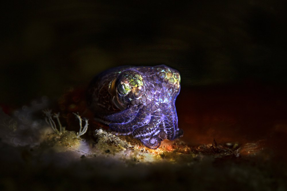 Photograph by Дериглазова Марина Владимировна