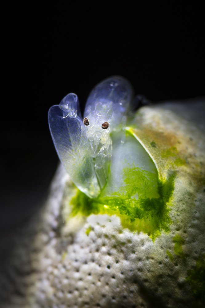 Photograph by Дериглазова Марина Владимировна