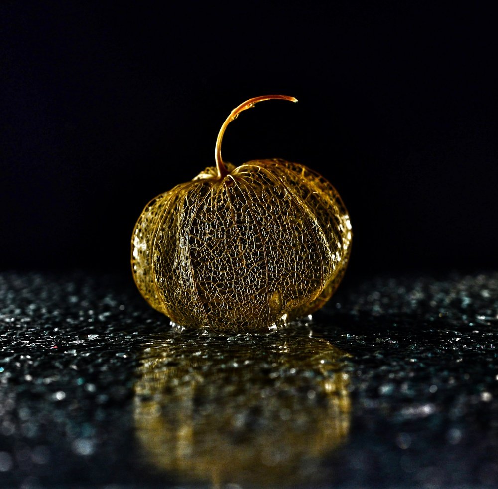 Photograph by Михаил Логвиненко