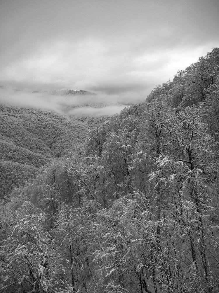 Photograph by Сергей Богомяков