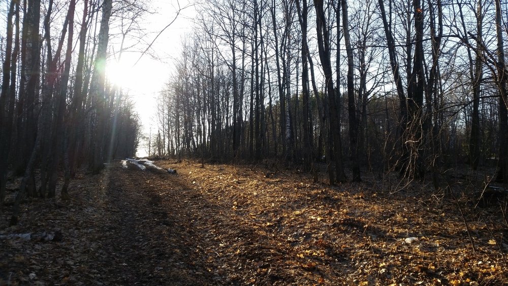Photograph by Айдар Гараев