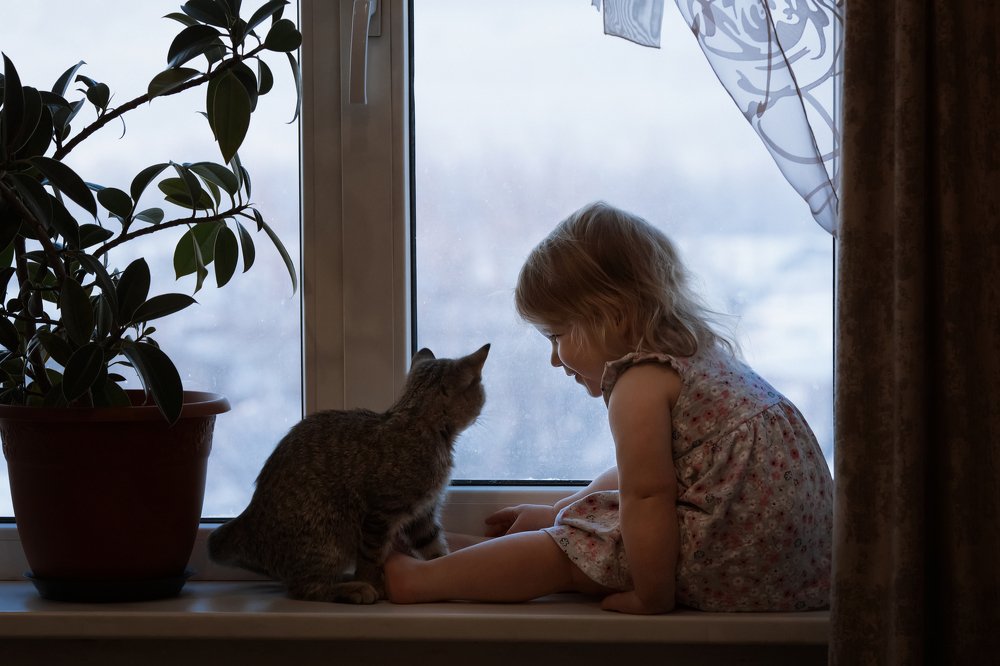 Photograph by Юлия Мочалова