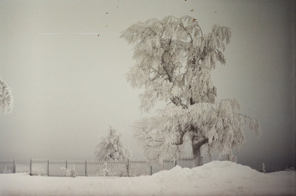 A mist of silence and ice