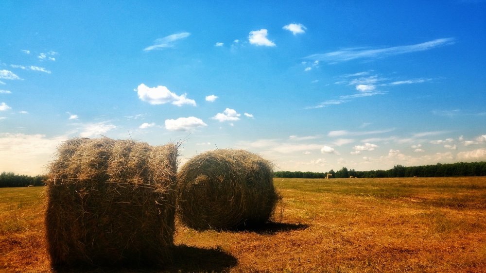 Photograph by Айдар Гараев