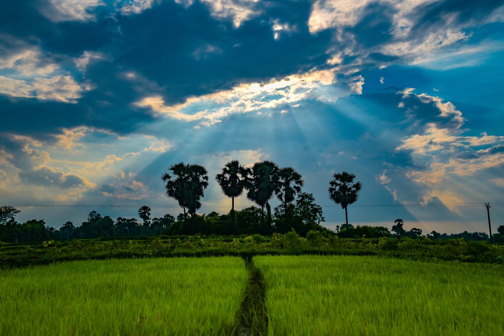 Photograph by Anirban Pan