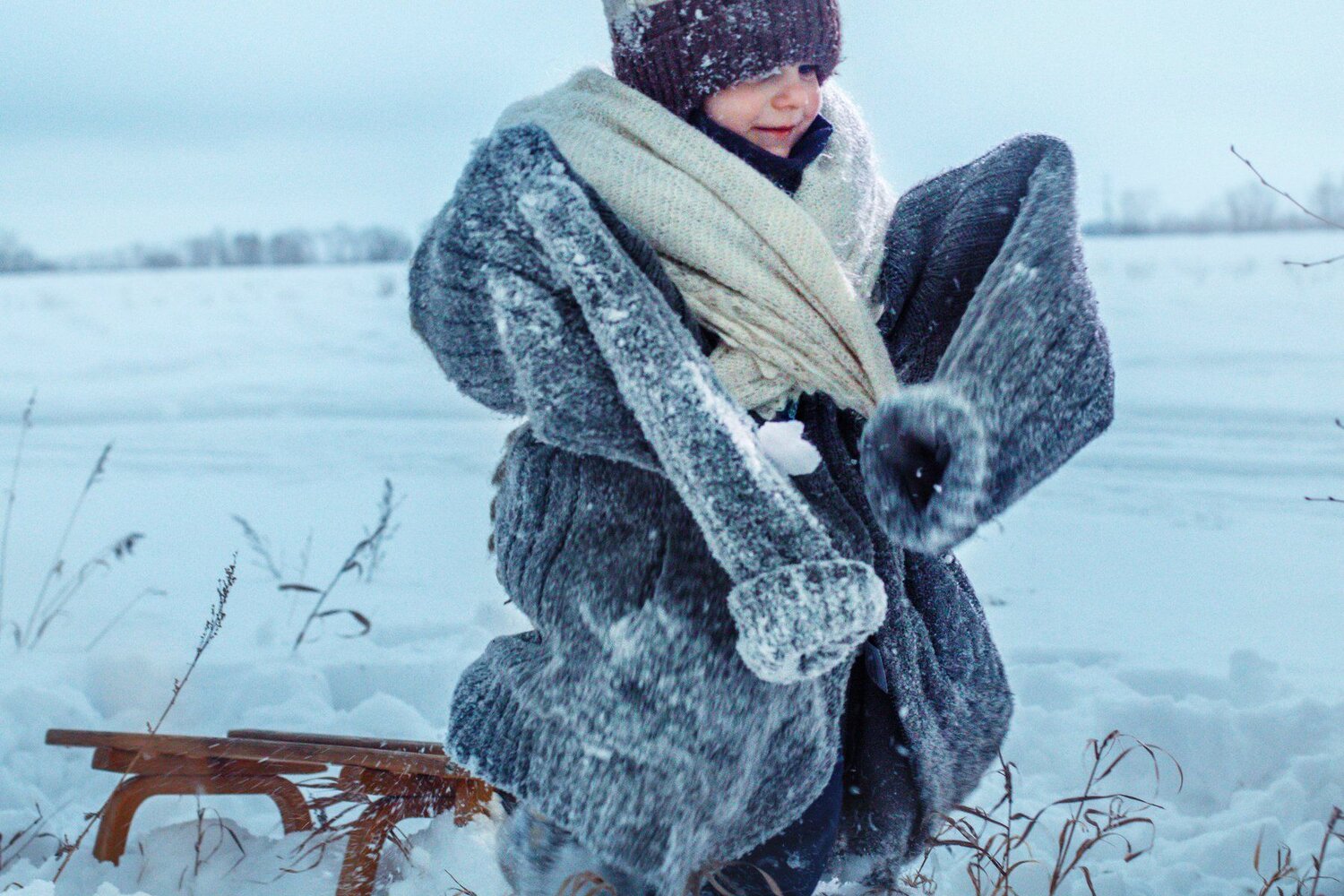 Photo #4304466