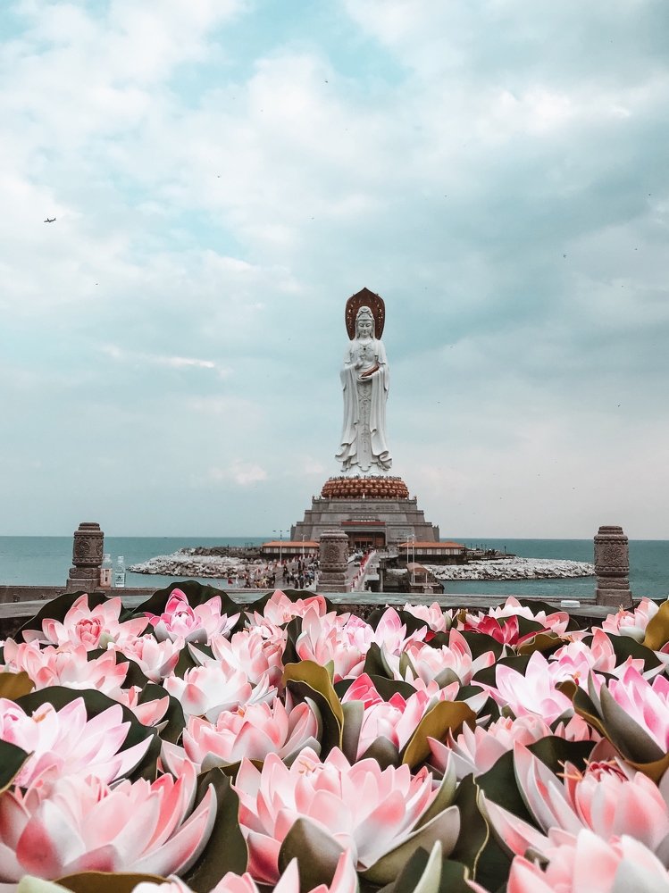 В 7,5 тысячах километрах от дома