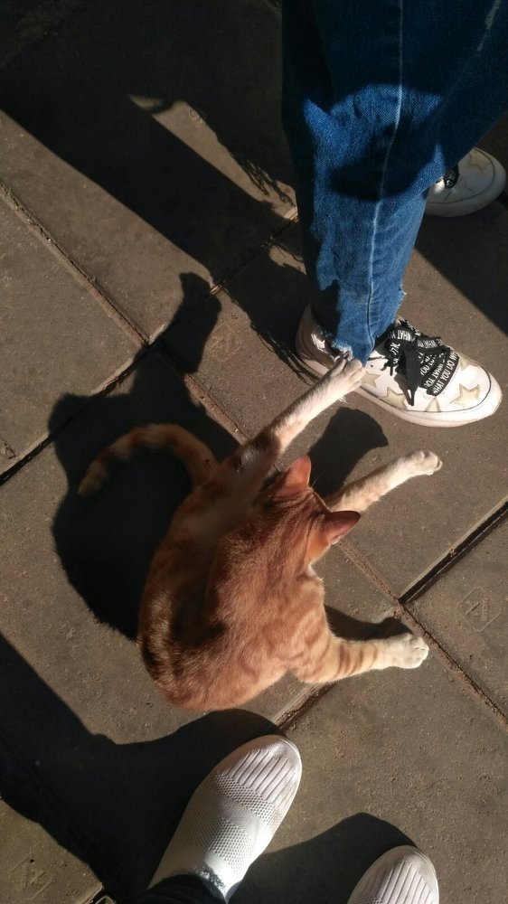 Мобильная фотография.