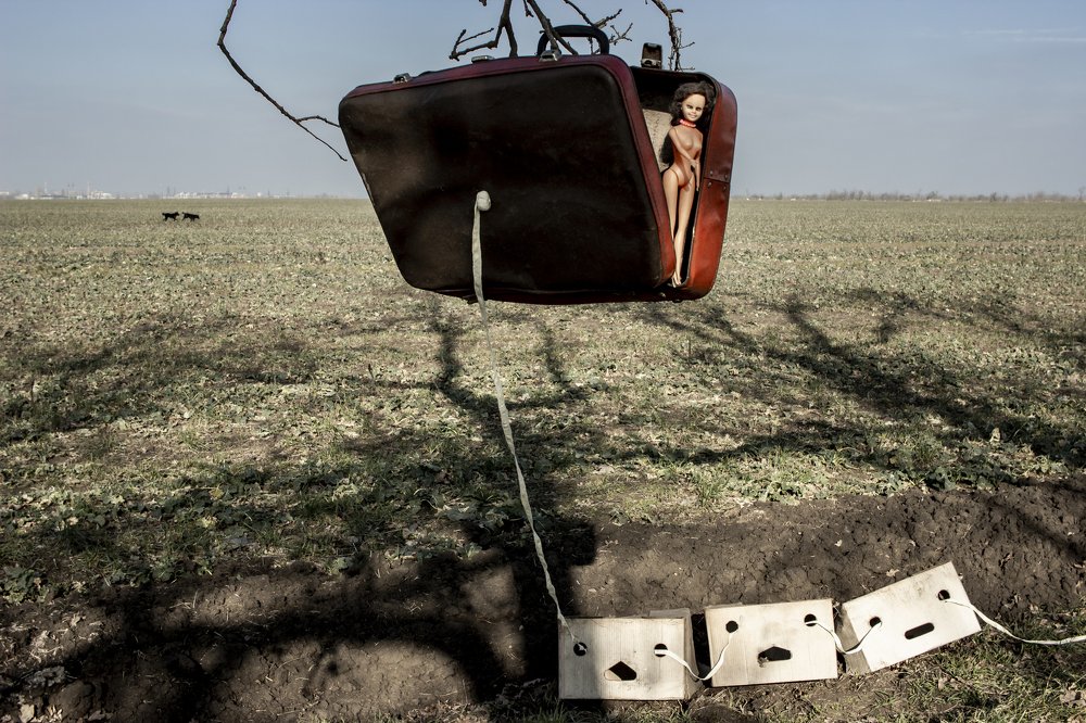 Фотография автора Dmitriy Zhuravlev