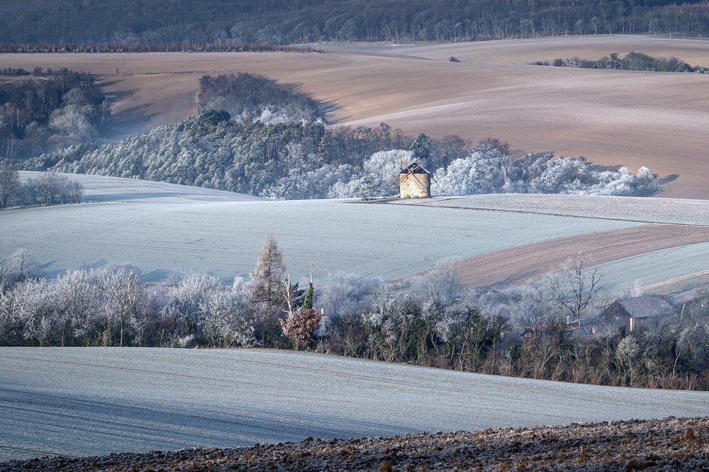 Фотография автора Лана Григорьева