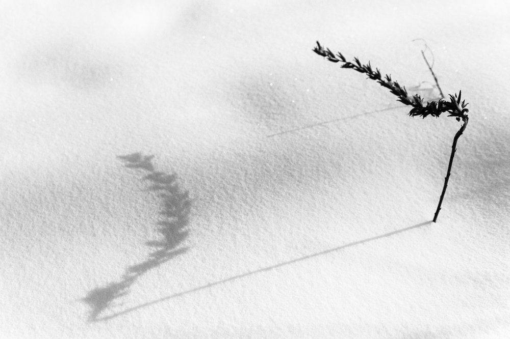 Photograph by Александр Крушельницкий