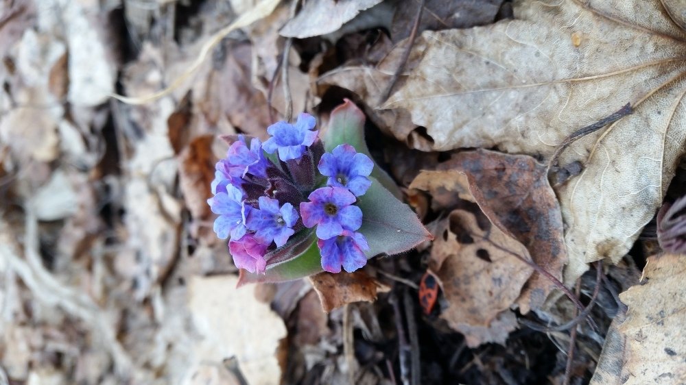 Photo #4304543