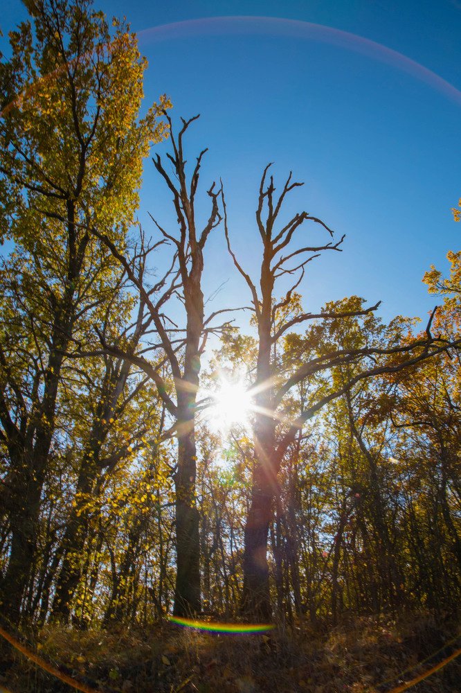Photograph by Алёна Суслова