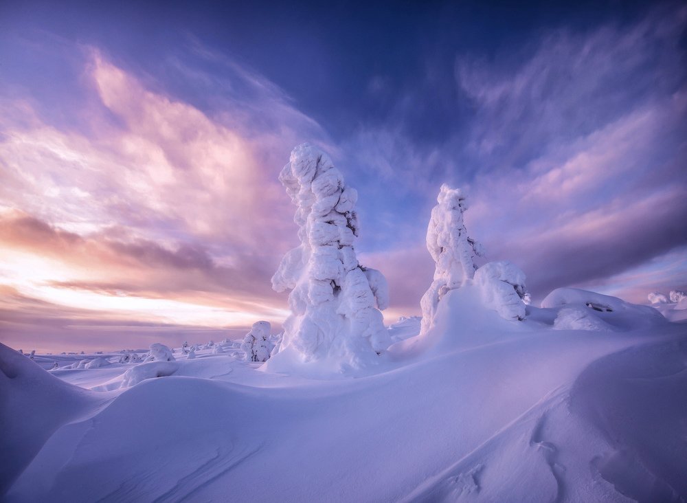 Photograph by Елена Ермолина