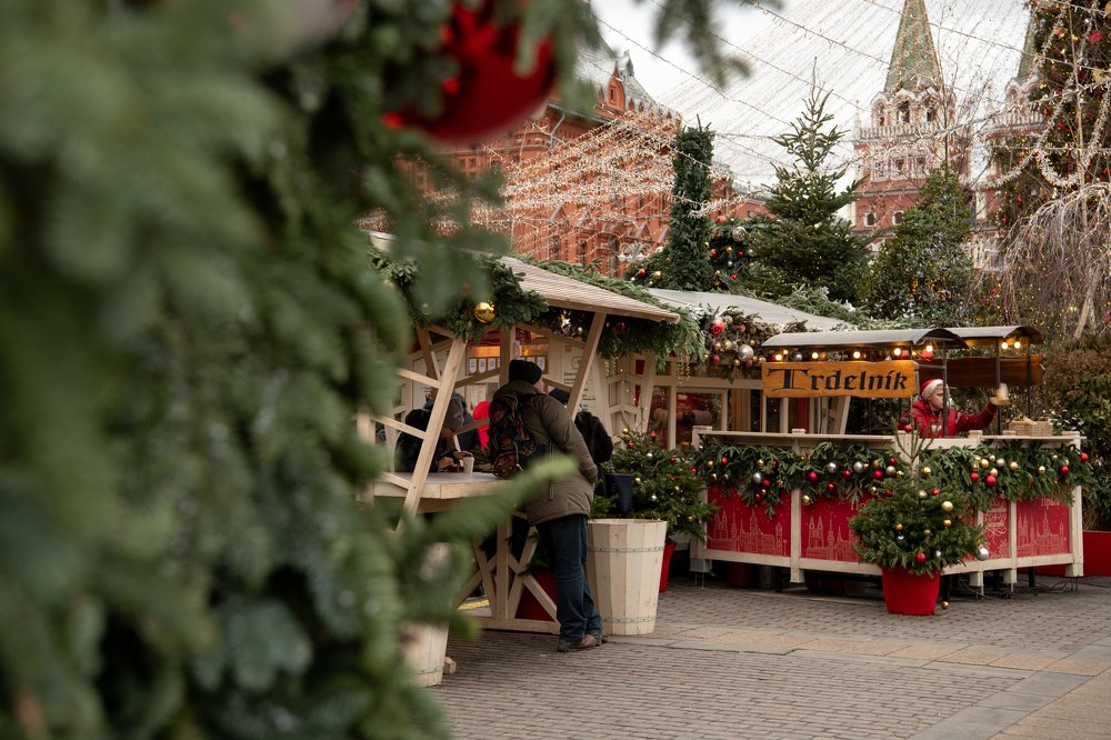 Фотография автора Екатерина Лапаева