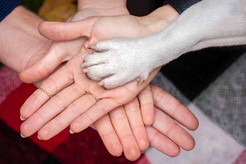 Photograph by Katerina Kutova