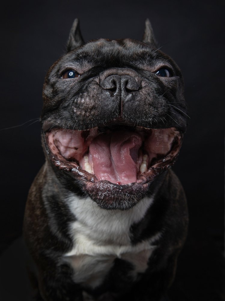 Photograph by Алла Чернова