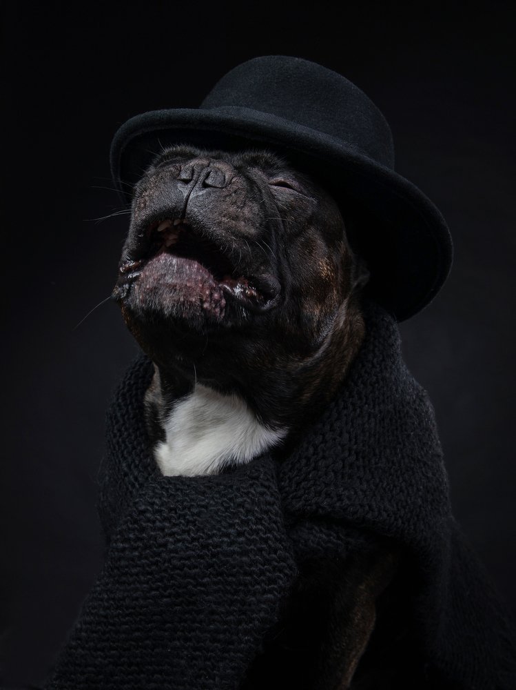 Photograph by Алла Чернова