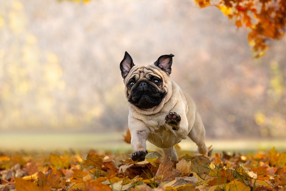 Photograph by Katerina Kutova