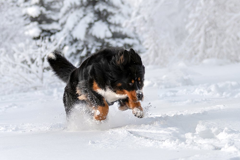 Photograph by Katerina Kutova