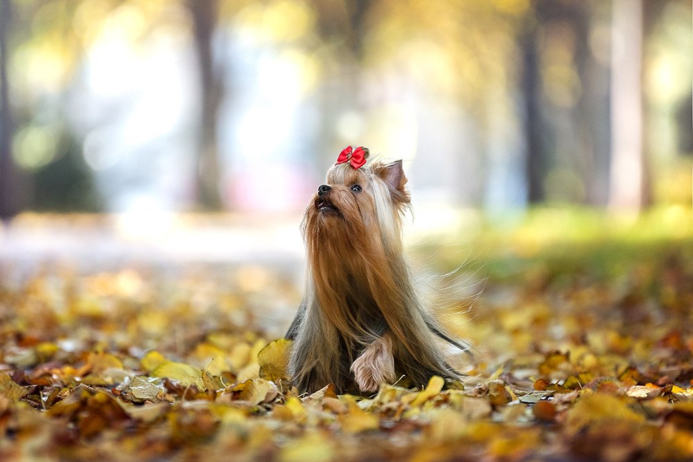 Photograph by Katerina Kutova