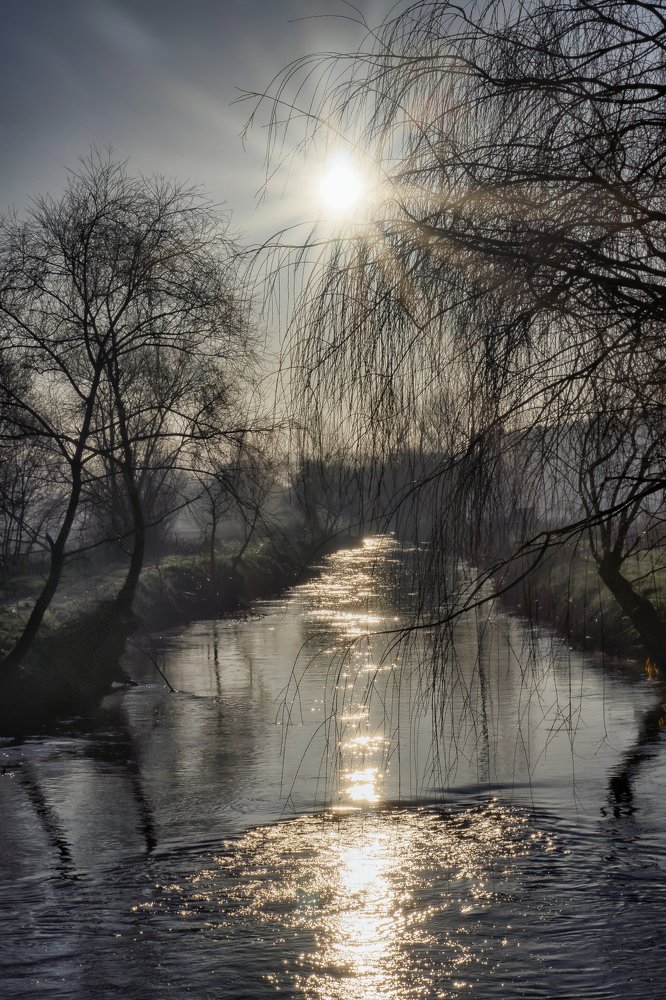 Photograph by Horácio Graça