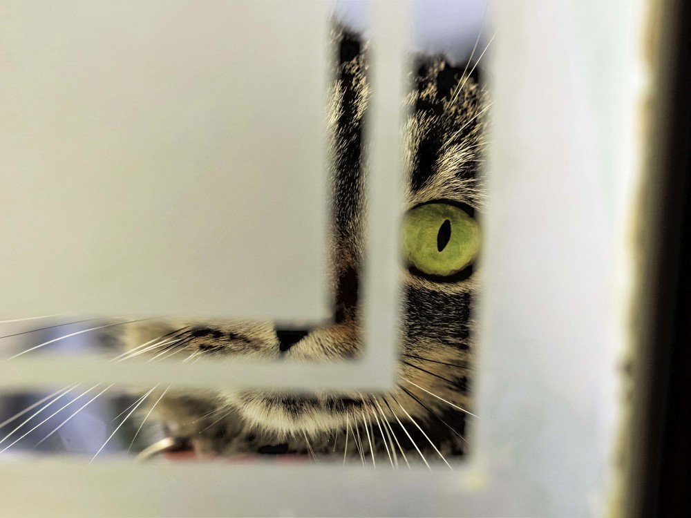 Фотография автора Valdevani Aprigio