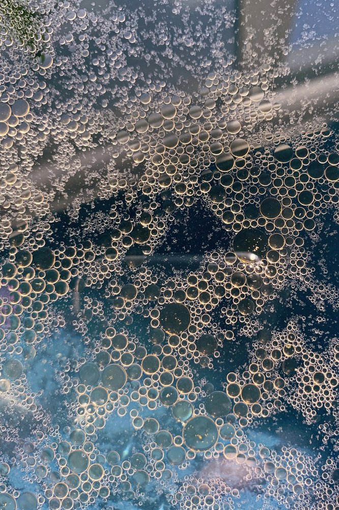 Photograph by Людмила Ефремова