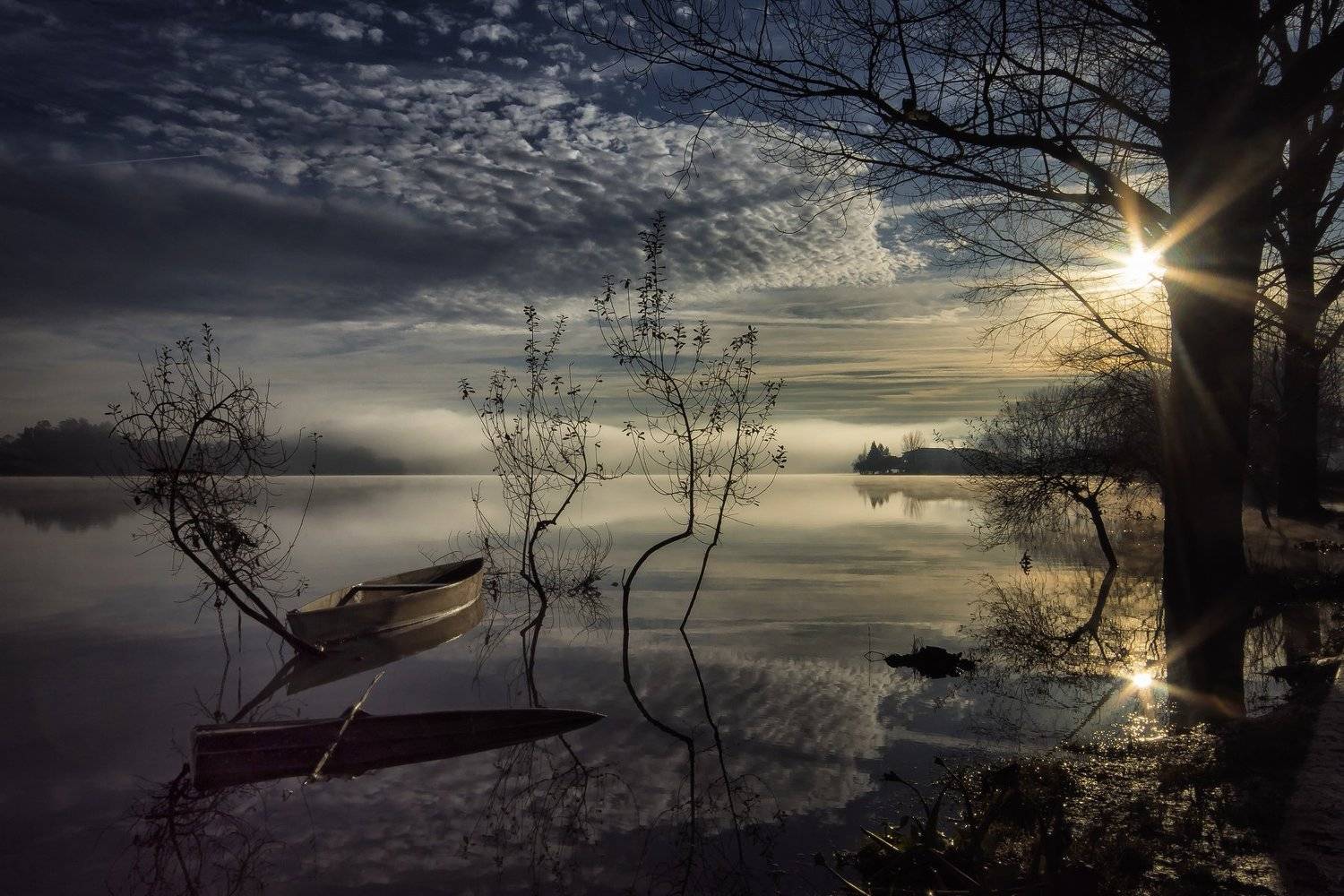 Фотография #4304729