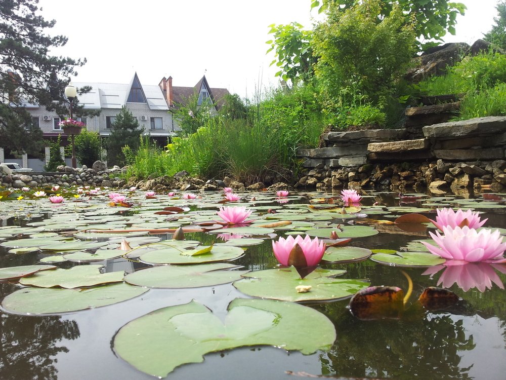 г. Горячий ключь.