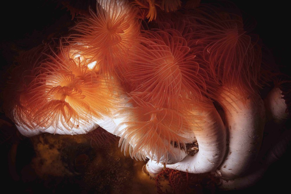 Photograph by Peet J Van Eeden