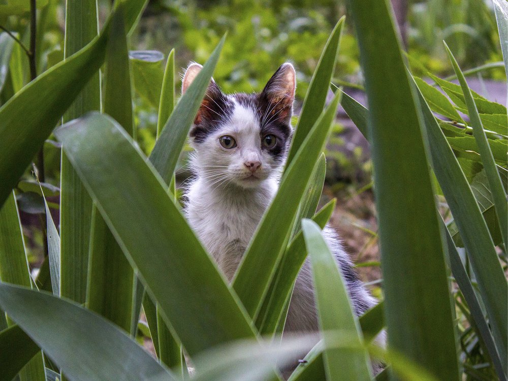 Photograph by Ludmila Buyanova