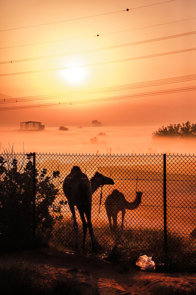 Photograph by Nalreit Angela Diaz