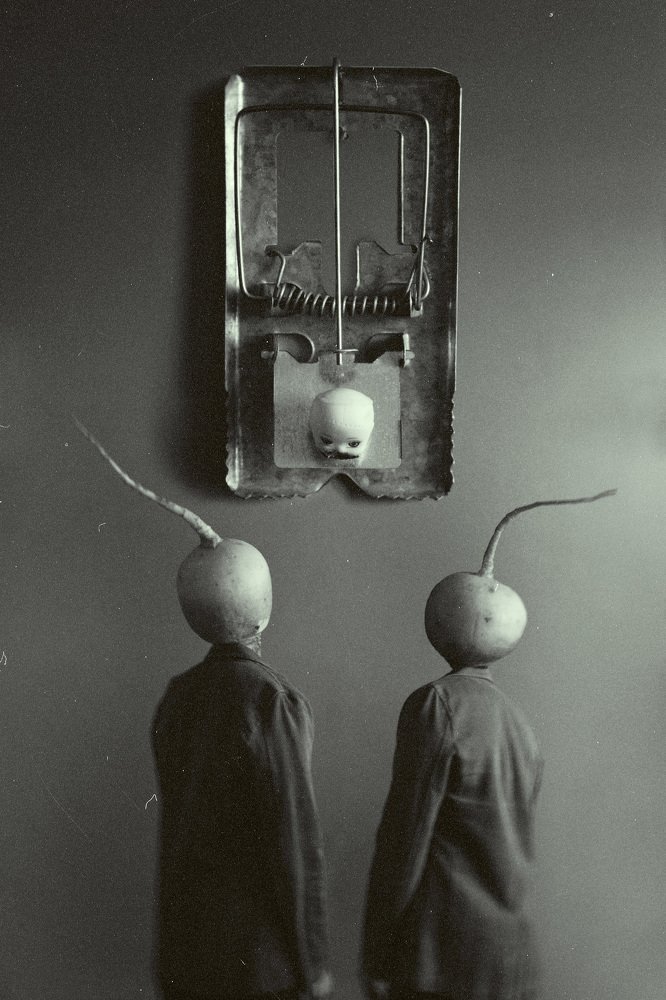 Photograph by pouya derakhshan