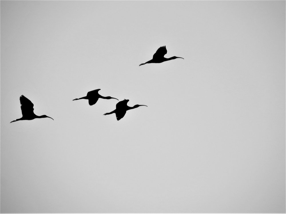 Photograph by Екатерина Салий