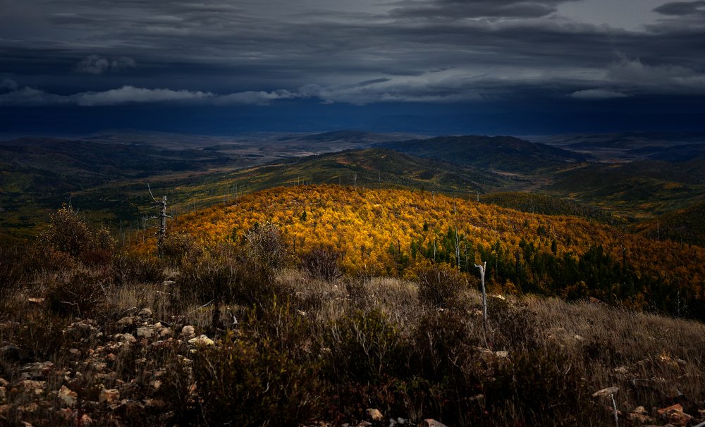 Photograph by Сергей Андреев