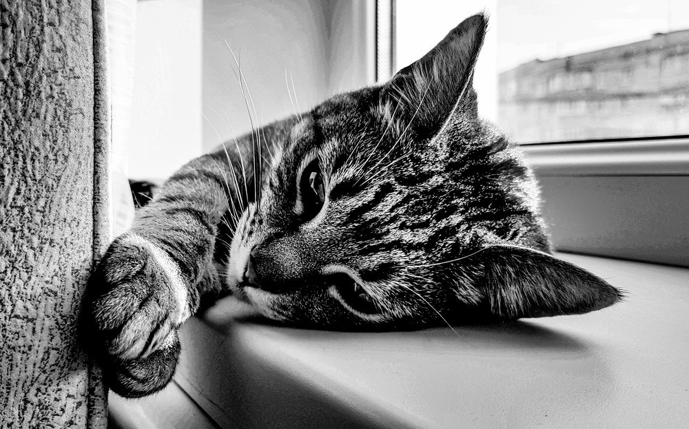 Photograph by Роман Хлевнюк