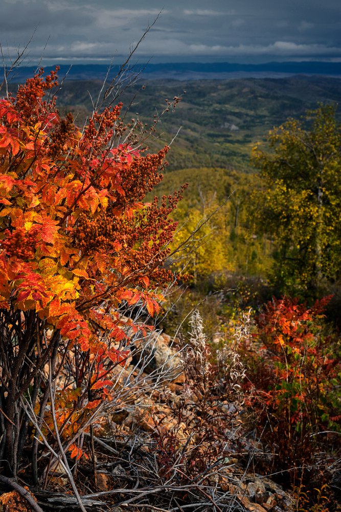 Photograph by Сергей Андреев